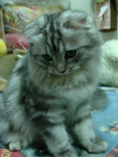[Avatar]