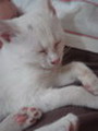 [Avatar]
