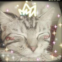 [Avatar]