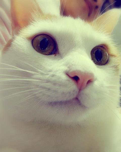 [Avatar]