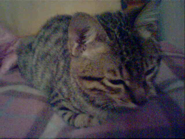 [Avatar]