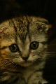[Avatar]