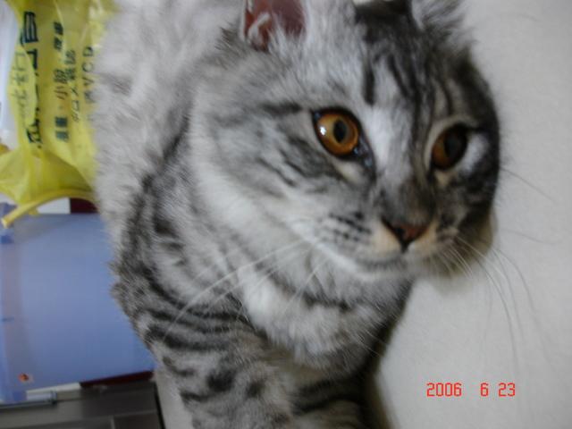 [Avatar]