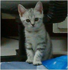 [Avatar]