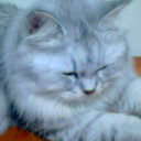 [Avatar]