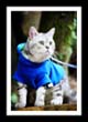 [Avatar]