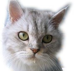 [Avatar]