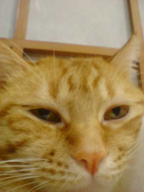 [Avatar]