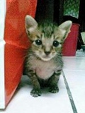 [Avatar]
