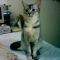 [Avatar]