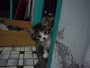 [Avatar]