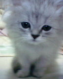 [Avatar]
