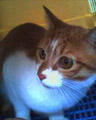 [Avatar]