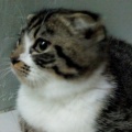 [Avatar]