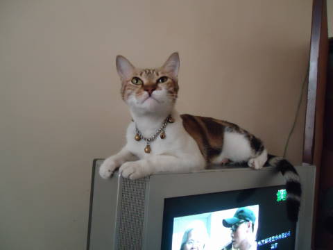 [Avatar]