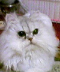 [Avatar]