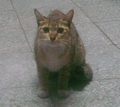[Avatar]