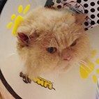 [Avatar]